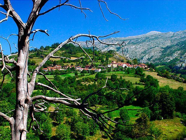 Entorno casa rural La Carrozal Asturias Teverga
