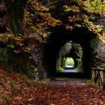 Senda del Oso cerca casa rural La Carrozal Asturias Teverga