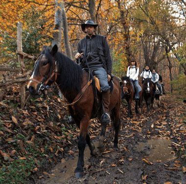 Paseos a caballo en Asturias con niños