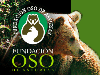 Fundación Oso de Asturias, en Proaza
