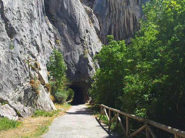 Casa rural muy cerca de la Senda del Oso, ruta de bicicleta y senderismo en Asturias