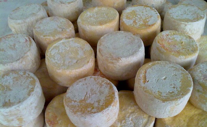 Queso Asturiano Los Beyos