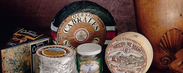 Tipos de quesos de asturias