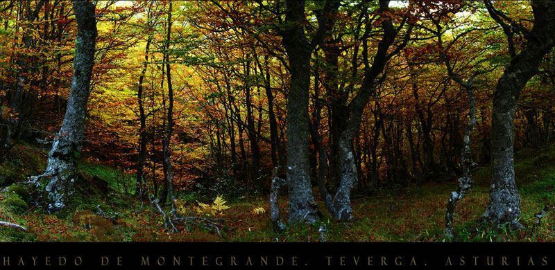 Ruta de senderismo de Teverga, Asturias