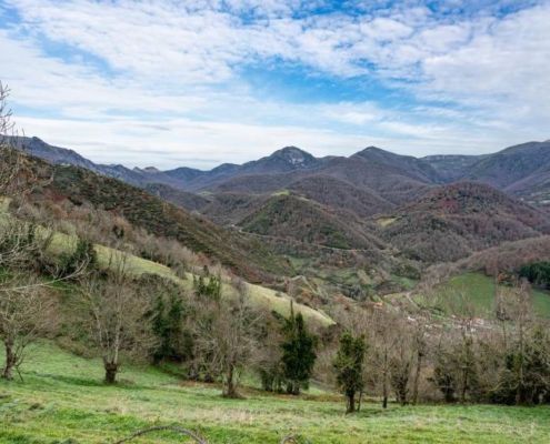 casa rural asturias con perro
