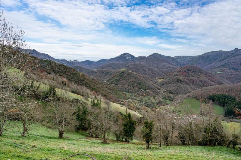casa rural asturias con perro